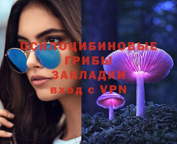 соль ск Балахна