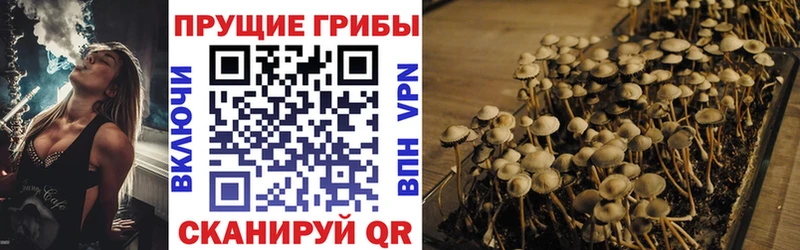 Галлюциногенные грибы Magic Shrooms  продажа наркотиков  Светогорск 
