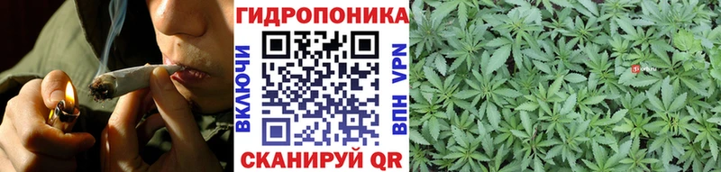 Бошки марихуана OG Kush  Светогорск 
